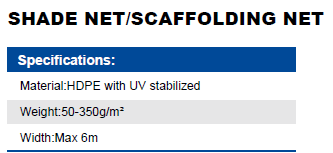 Scaffolding Net2-1.png